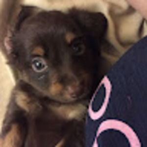 Meet your Posher, Julissa